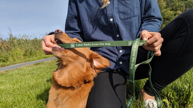 Cabin Radio NWT: Northwest Territories Merch Fun Items Cabin Radio